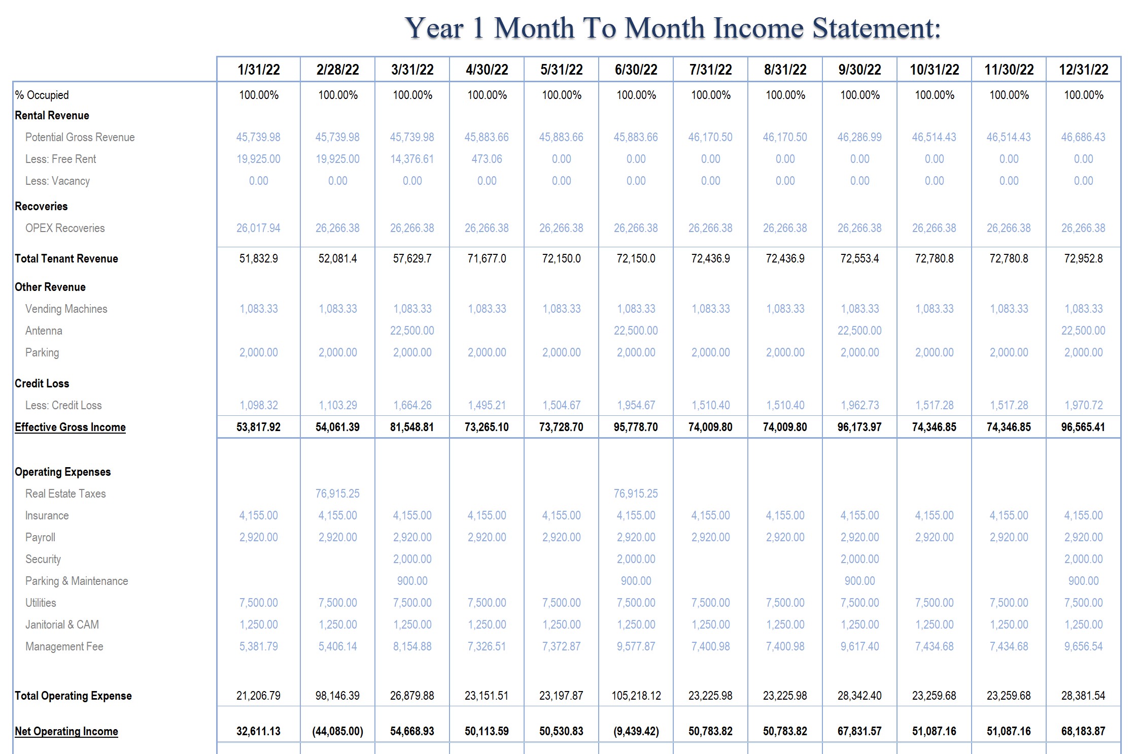 Real Estate Investment Software Month to Month Income Statement